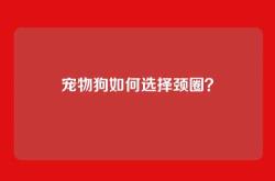 宠物狗如何选择颈圈？