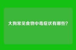 大狗常见食物中毒症状有哪些？