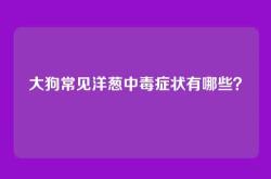 大狗常见洋葱中毒症状有哪些？