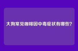 大狗常见咖啡因中毒症状有哪些？