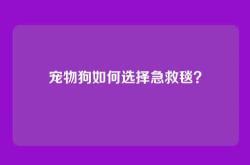 宠物狗如何选择急救毯？