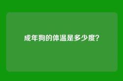 成年狗的体温是多少度？