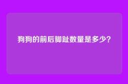狗狗的前后脚趾数量是多少？