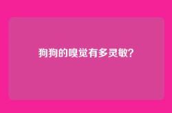 狗狗的嗅觉有多灵敏？