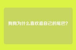 狗狗为什么喜欢追自己的尾巴？