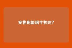 宠物狗能喝牛奶吗？