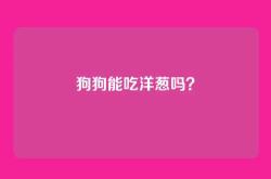 狗狗能吃洋葱吗？