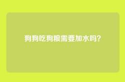 狗狗吃狗粮需要加水吗？