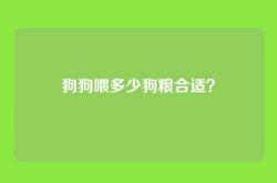 狗狗喂多少狗粮合适？