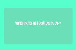 狗狗吃狗粮拉稀怎么办？