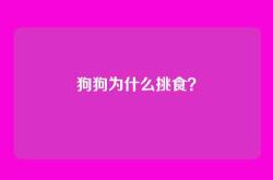 狗狗为什么挑食？