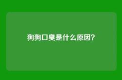 狗狗口臭是什么原因？