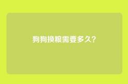 狗狗换粮需要多久？