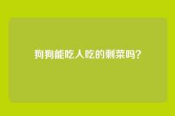狗狗能吃人吃的剩菜吗？