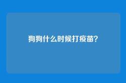 狗狗什么时候打疫苗？