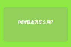 狗狗驱虫药怎么用？
