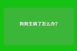 狗狗生病了怎么办？