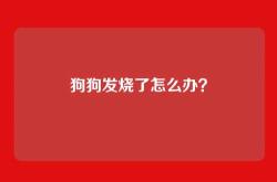狗狗发烧了怎么办？