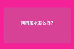 狗狗拉水怎么办？