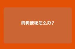 狗狗便秘怎么办？