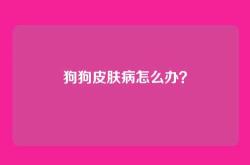 狗狗皮肤病怎么办？