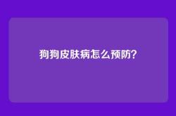 狗狗皮肤病怎么预防？
