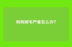 狗狗掉毛严重怎么办？