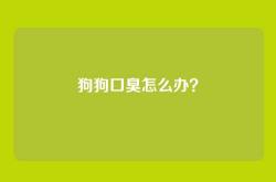狗狗口臭怎么办？