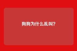 狗狗为什么乱叫？