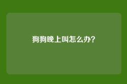 狗狗晚上叫怎么办？