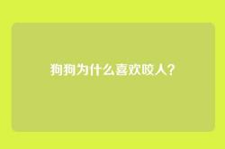 狗狗为什么喜欢咬人？