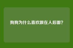 狗狗为什么喜欢跟在人后面？