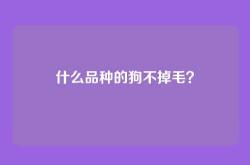 什么品种的狗不掉毛？