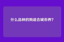 什么品种的狗适合城市养？
