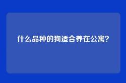 什么品种的狗适合养在公寓？