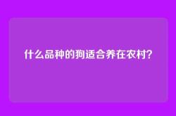 什么品种的狗适合养在农村？