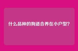 什么品种的狗适合养在小户型？