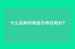 什么品种的狗适合养在阳台？