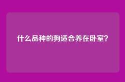 什么品种的狗适合养在卧室？