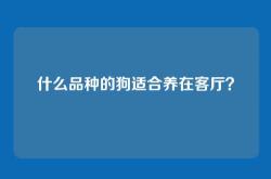 什么品种的狗适合养在客厅？
