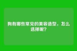 狗有哪些常见的美容造型，怎么选择呢？