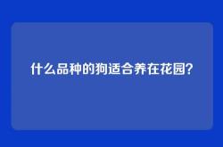 什么品种的狗适合养在花园？