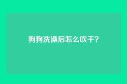 狗狗洗澡后怎么吹干？