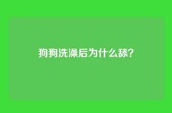 狗狗洗澡后为什么舔？