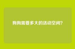 狗狗需要多大的活动空间？