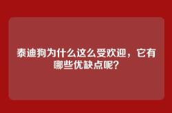 泰迪狗为什么这么受欢迎，它有哪些优缺点呢？