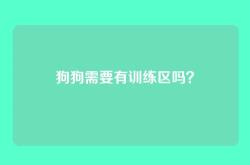 狗狗需要有训练区吗？