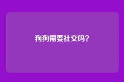 狗狗需要社交吗？