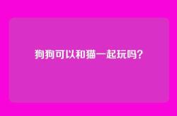 狗狗可以和猫一起玩吗？