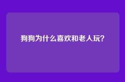 狗狗为什么喜欢和老人玩？